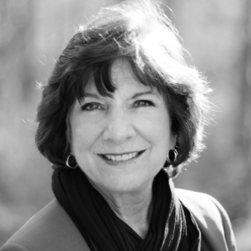 Sandi  Scannelli
